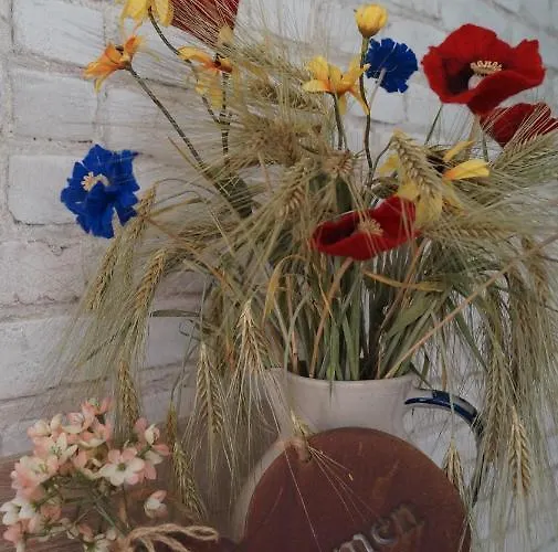 Sandsteinperle Appartement Reinhardtsdorf-Schona